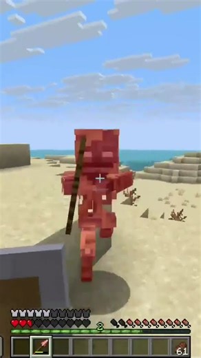 Fight Minecraft New Mob The Parched!