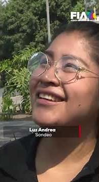 Jacarandas, un espectáculo de flores moradas por las calles de la CDMX
