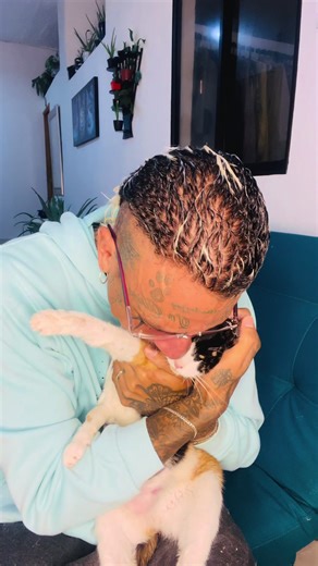 HOY !tuve que hacer el acto más grande de amor para mi bebé que me acompañó 6 años tomar la decisión de dejarla descansar para que no sintiera dolor alguno ,sin esperarlo sin prepararme simplemente el miércoles se empezó a poner malita e hice de todo para que estuviera bien la llevé al veterinario la hospitalicé hice todo hasta donde pude pero mi guerrera me estaba diciendo que ya había cumplido su misión en esta tierra 💔😭😭💔💔😭😭💔💔💔💔😭💔💔💔💔💔💔💔💔 #cat #amorpuro #lovecat