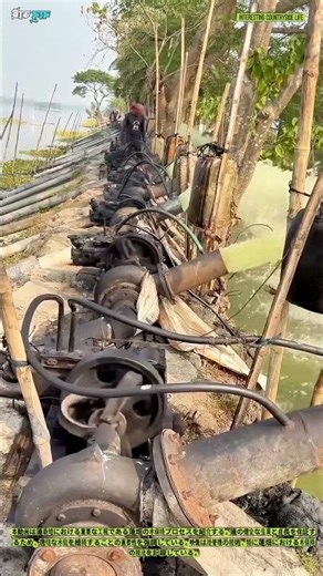 蓮池の水管理技術：蓮畑への灌漑