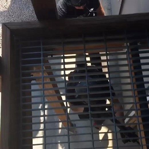 SWAT Team NC | 9 banger demo in the #shoothouse. Unplanned emergency #hostagerescue movement for those that need to know the scenario. #9banger... | Instagram