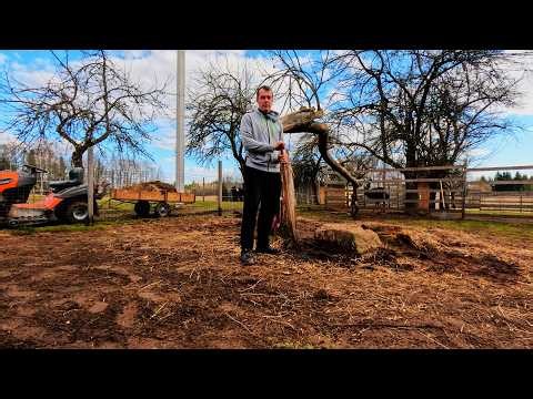 Paukščiai lauke, aptvarai, varteliai, ožkų aptvaras, mėšlas. (spring) #3