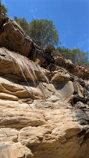 Rich Beymer on Reels