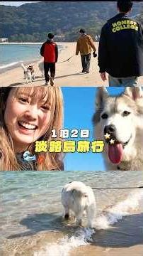 愛犬と一緒に1泊2日の淡路島旅行に行ってきたで！