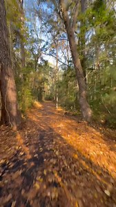 Today in Murrells Inlet, SC at Huntington Beach State Park on the Bike Trail. | Austin Bond Photography