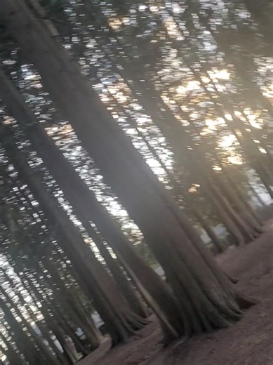 #mistake #sound #fyp