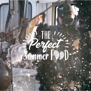 38K views · 100 reactions | FRESH PEI MUSSELS: THE PERFECT SUMMER...