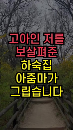 고아인을 보살피는 하숙집 아줌마 이야기
