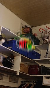 🎥 Ruff Trade TV The real, raw, behind-the-scenes story of Ruff Trade. From 2023 to now, we’ve been capturing every moment… and it’s time to bring you all in. Episode 1 drops Saturday, 1st November, streaming exclusively on Patreon. The only place to watch full episodes, backstage footage, and everything we’ve been building. 🔗 patreon.com/c/rufftradeuk/membership | RUFF TRADE