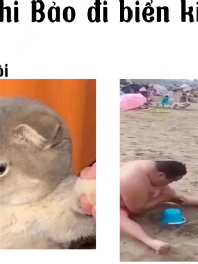 Khi Bảo đi biển kiểu: #trending #bảo #xhhhhhhhhhhhhhhhhhhhhhhh