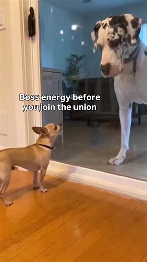 Funny how accountability changes the vibe. When workers stand together, things shift.