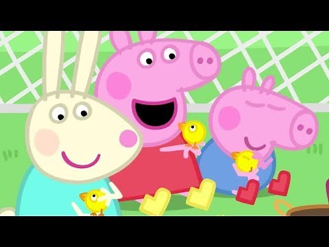 Peppa Pig English Episodes | Mrs Badger's Chicken Farm | Peppa Pig