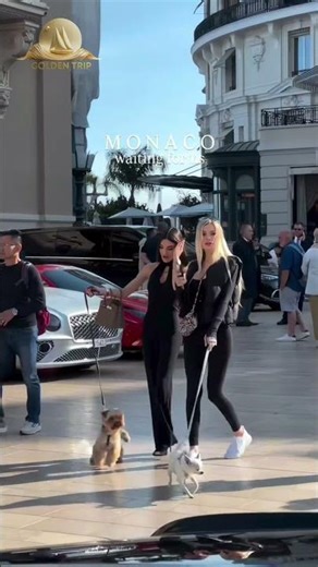 🇲🇨 Monaco – acolo unde luxul întâlnește Marea Mediterană. 🌊💎