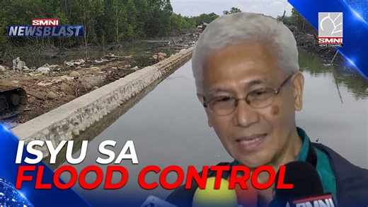 2.7K views · 90 reactions | Ibinunyag ng isang eksperto na marami umanong mga proyekto ng pamahalan na partikular sa flood control projects ang hindi dumaan sa environmental impact assessment ng Department of Environment and Natural Resources (DENR). Mahalaga aniya ito na nagsisilbing safety check upang matiyak na ang bawat proyekto ay tunay na makakatulong at hindi makakapinsala sa tao at kalikasan lalot pero ng taumbayan ang ginamit dito. | via Sheena Torno | Newsblast | Facebook