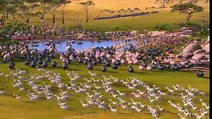 Madagascar 2 Trailer (2) DF