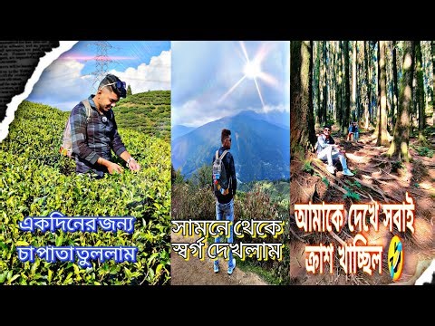 Darjeeling tour 🔥!! Darjeeling tourist place 😍!! Mirik tea garden 💗!! Mirik tourist place 😍 (Day-4)