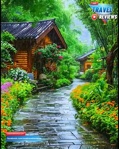 40K views · 6.5K reactions | Beautiful rain sound 李 | One travel reviews | Facebook