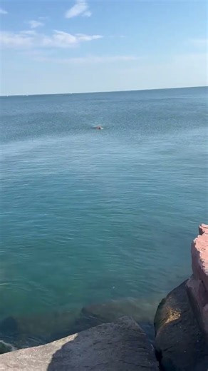 September swim, Big Lake