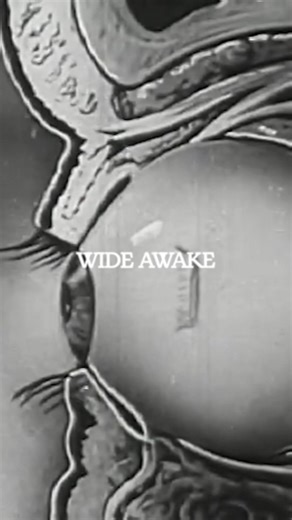 Exploring Synthpop and Darkwave Music Influences