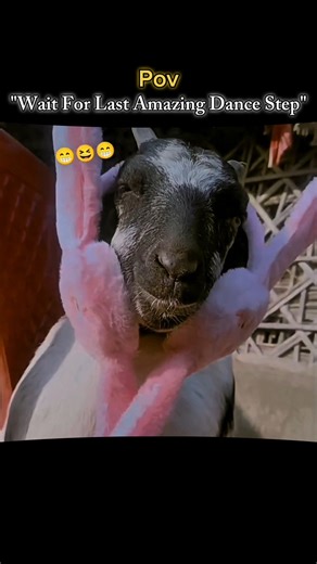 Tu Tu Tu Meri Jaan Ban Gayi || Girl's Funny Dance || WhatsApp (Lyrics) Dance Status ||