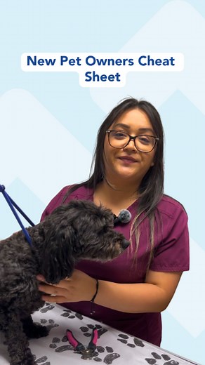 Did you get a new pet over the holidays? VCA All Pets Salinas has tips for you to welcome your new bestie to your family! | VCA Animal Hospitals