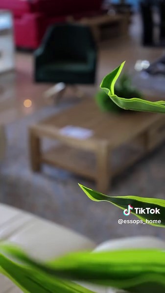 Discover Stylish Home Decor at Essops Clearwater