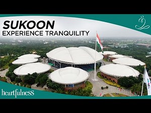 A Glimpse into the Heartfulness Bhandara at Kanha Shanti Vanam