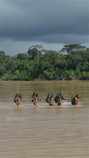 Mashco piros, una de las tribus indígenas fue vista en plena amazonía peruana 😮🇵🇪 #peru #Selva #rio | Fernand Joe