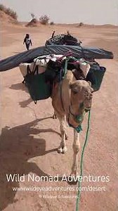 Wild Nomad Adventures | Sahara Desert Experience with Berber Nomads in Morocco #saharatours