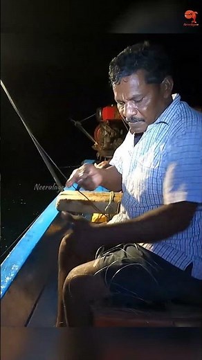 Catching Barracuda Using Squid as Bait! 🦑🔥 #fishing #fishingvideo #fishingtime