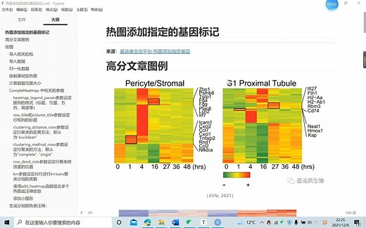 ComplexHeatmap热图绘制 | 指定基因在热图中标记