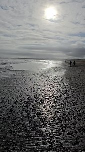 Beach walks in Ireland never disappoint 🌊 Sea breeze, soft sand, and a clear head. #travellingireland #travellingirelanddotcom | Travelling Ireland