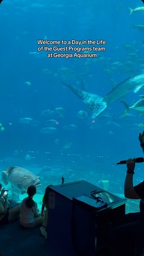 44K views · 822 reactions | Questions, tours, and sleepovers - our Guest Programs team definitely has quite the day in the life! Tell us below if you have ever done a behind-the-scenes tour or sleepover at the Aquarium! | Georgia Aquarium | Facebook