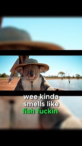 348K views · 7.8K reactions | Koala tries Sydney Sweeney Bath Soap #bigfootvlogs #googleveo3 #yetivlogs | Bigfoot Yeti Vlogs | Facebook
