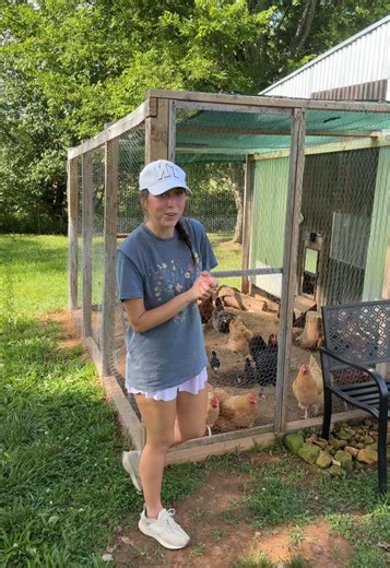 Chickens are way smarter than we give them credit for!! 🐓 They can be trained like dog if you treat them right 🤍 #chickens #chickensoftiktok #backyardchickens #chickenkeeping #chickencoop #chickenfeed #freerangechickens #freerange #chickenkeepingtips #backyardchickenkeeping #chickentok #chickentok🐔