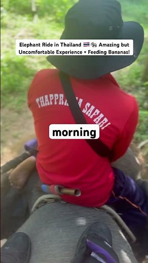 Elephant Ride in Thailand 🇹🇭🐘 Amazing but Uncomfortable Experience + Feeding Bananas!