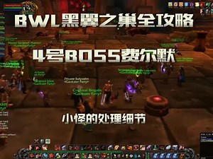 战士bwl全攻略