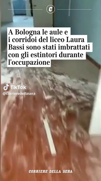 Occupazione liceo Laura Bassi: responsabilità, danni e proteste studentesche