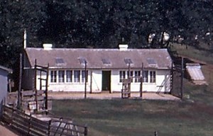 Scratching Out A Living Pdf