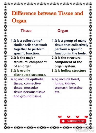 Difference between Tissue and Organ