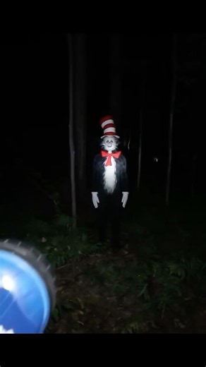DO NOT ENTER CAT IN THE HAT’s FOREST… (TRAILER) #catinthehat