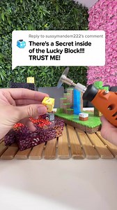 22K views · 113 reactions | There’s a Secret inside of the Lucky Block? #minecraft #jakesweet #part2 | Jake Sweet | Facebook