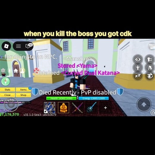 finally I got cdk🤯😎 #roblox #bloxfruits