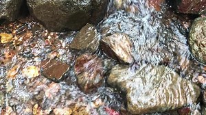 Flowing water falling between rocks in summer, closeup of gurgling river water recorded in 4k, clear flowing water background