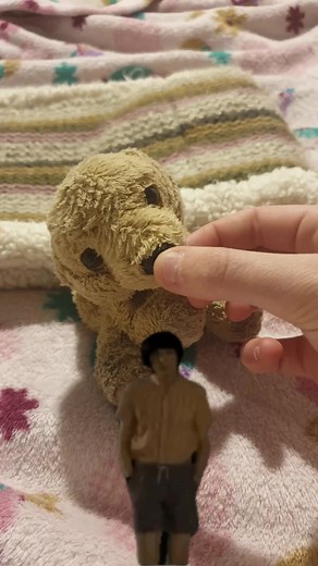 Outing w Sunset!! Fully trained ESSA, so proud of my lil girl ♡ // we did some training and i showed my lil brother the differences between a sd and an essa and what they are #cute #NOTASERVICEDOG #essa #essas #doglover #ilovedogs #emotionalsupportplush #AS #cool #idontwannahurtmyself #ilovethem #cheaperthanaservicedog #ESSA #ESA #loveESA #fuckhaters #essasideoftiktok #CapCut