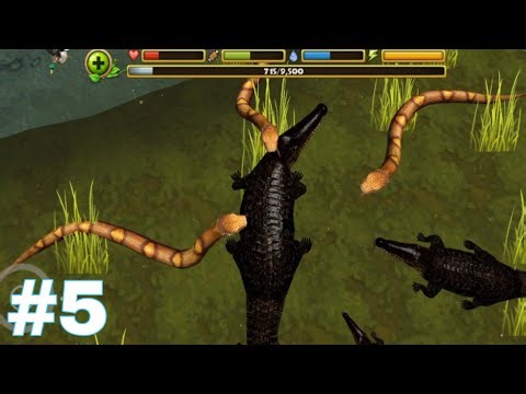 Wildlife Simulator: Crocodile - Gameplay Part 5 - No Commentary