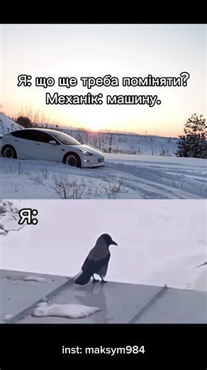 Страхо кожного водія😂#tesla #model3 #teslamodel3 #lviv #ukraine