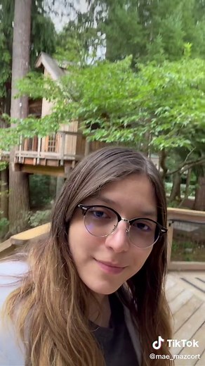 Casa del Árbol: Un Espacio Favorito en Microsoft