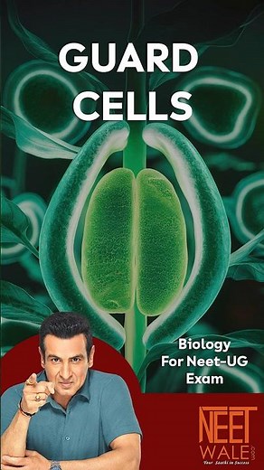 Guard cells | Stomata opening and closing | Biology for NEET-UG EXAM | #neet #biology #science #neet