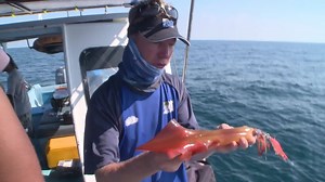 Day time squid fishing from a boat isn't common in many places in the world. But here Matt Watson gets a lesson from the pro's in Malaysia. #malaysiafishing #squidfishing #egi #egifishing #squidjig #malaysiasailfish #rompin #rompinsailfish #egisquid | Ultimate Fishing